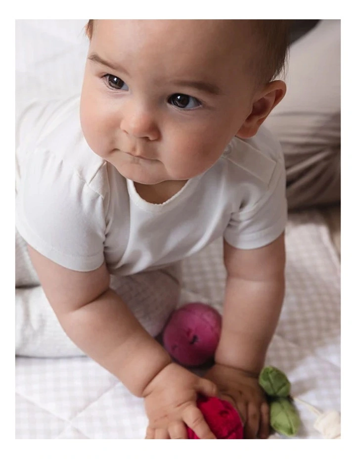 Mini Market Brunch Stroller 2 Pack image 6