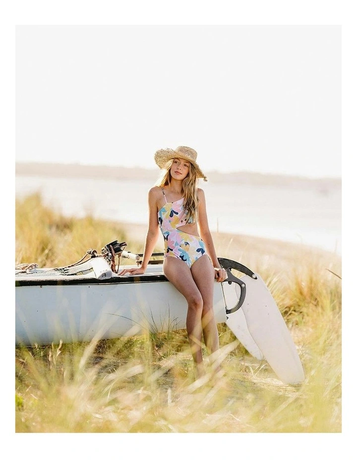 Cleo Print Swimsuit in Pink image 3