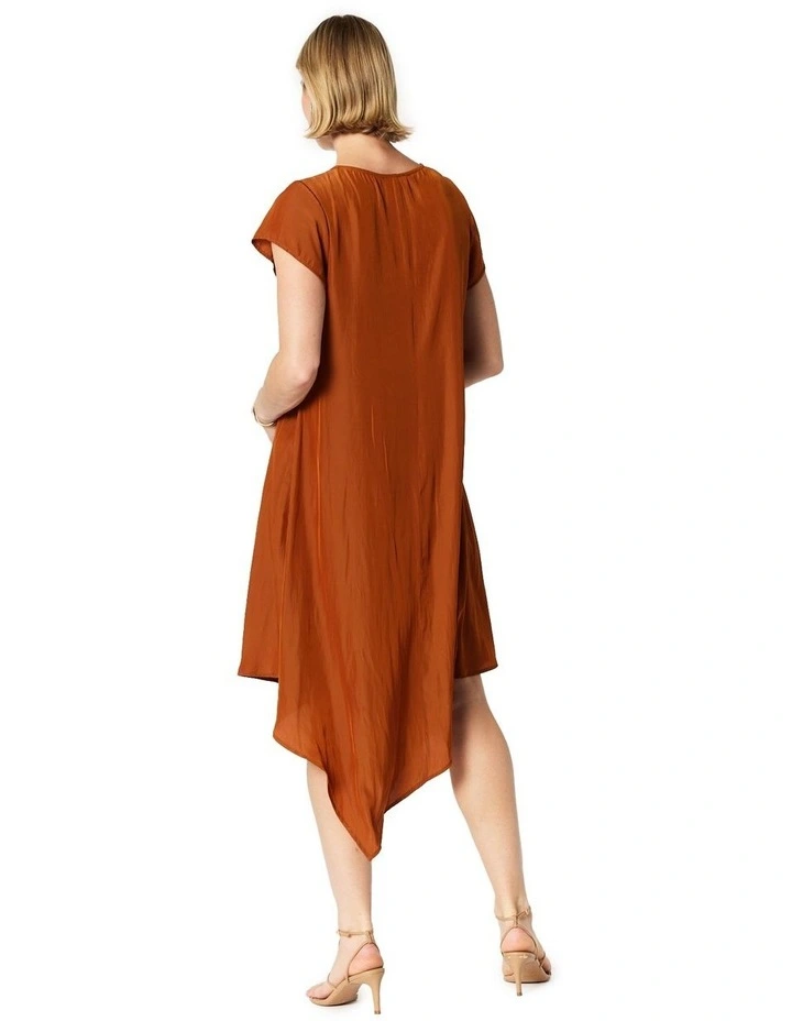 Courtney Dress in Brown image 2