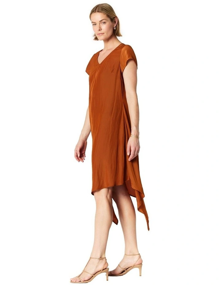Courtney Dress in Brown image 3