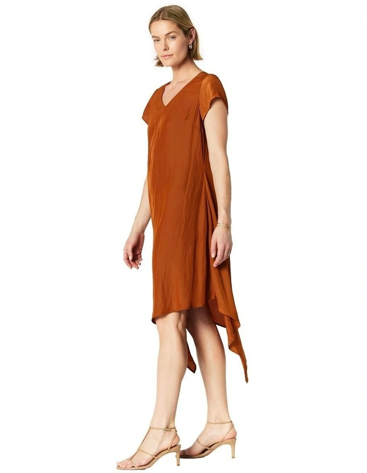 Courtney Dress in Brown image 3