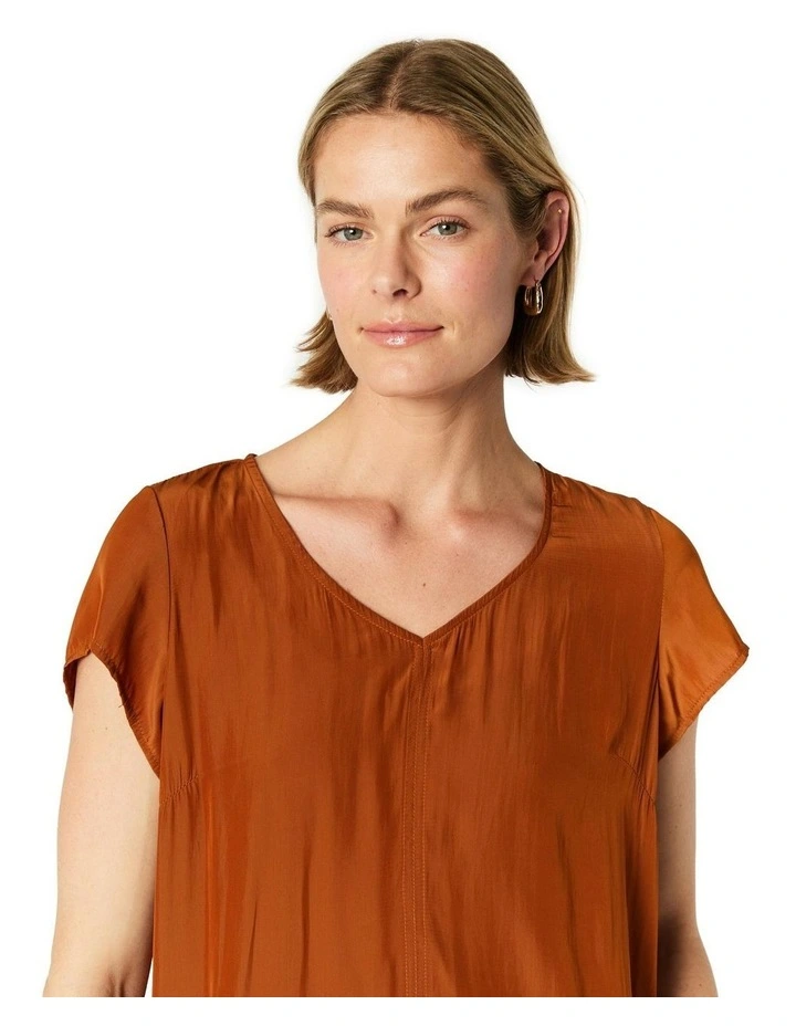 Courtney Dress in Brown image 4