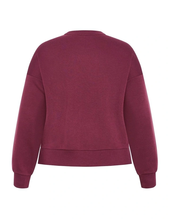 Nyc Storm Sweatshirt in Red image 4