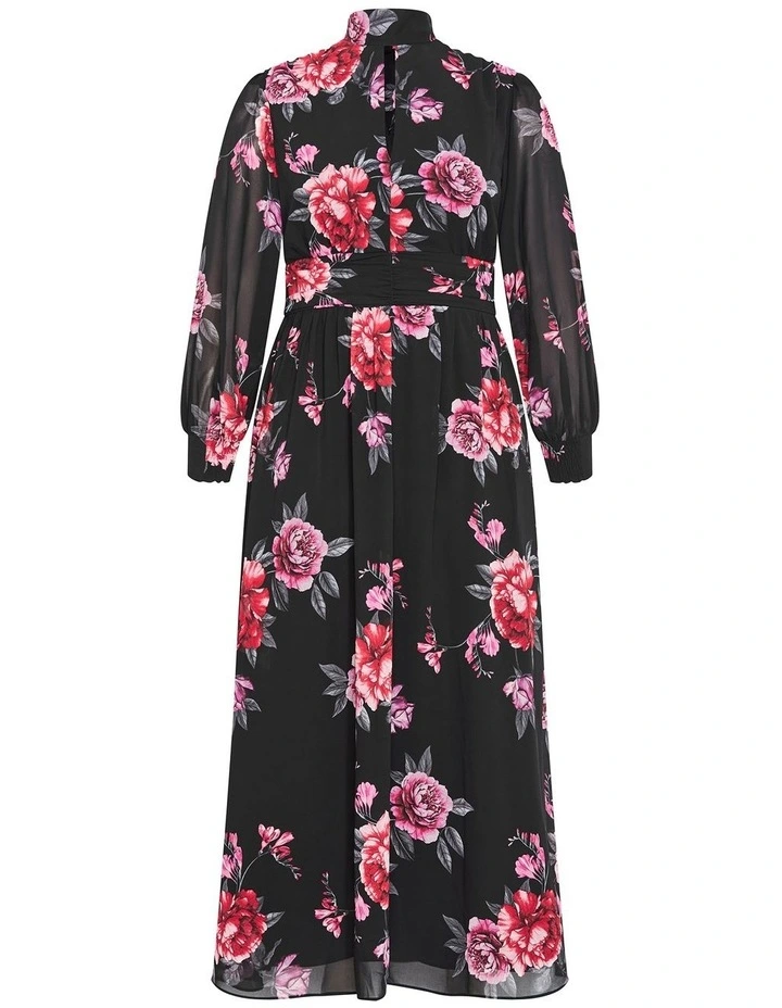 Alexandra Print Maxi Dress in Black image 4