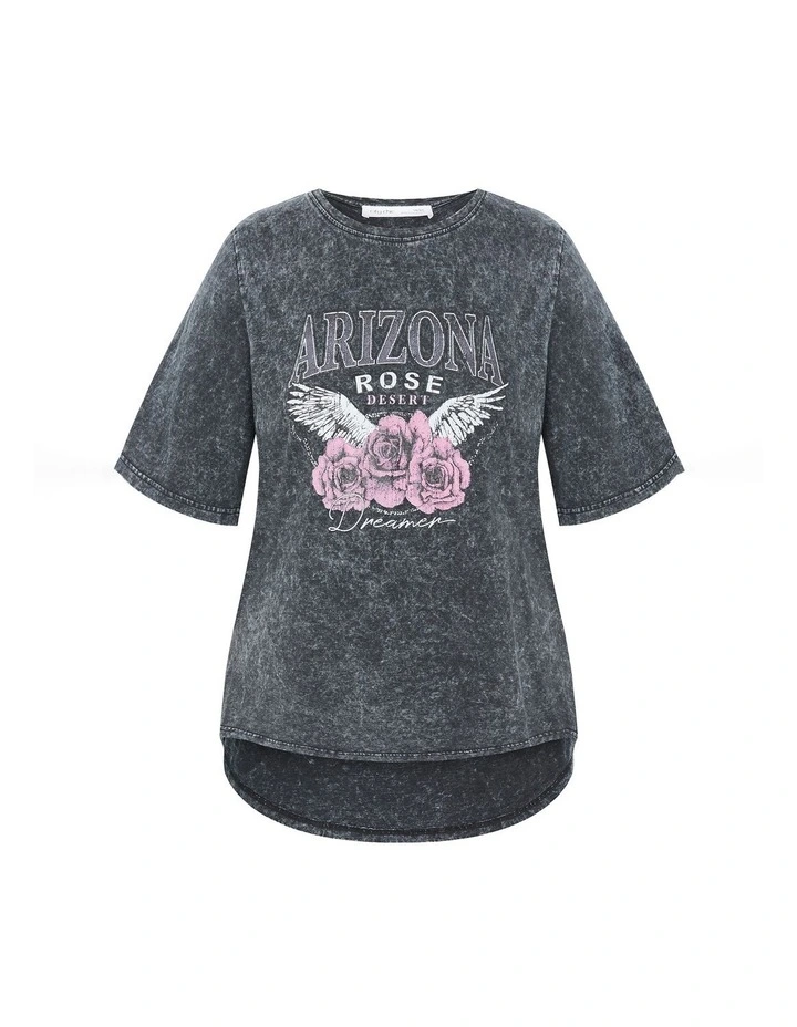 Ryan Arizona Print Tee in Grey Wash image 3