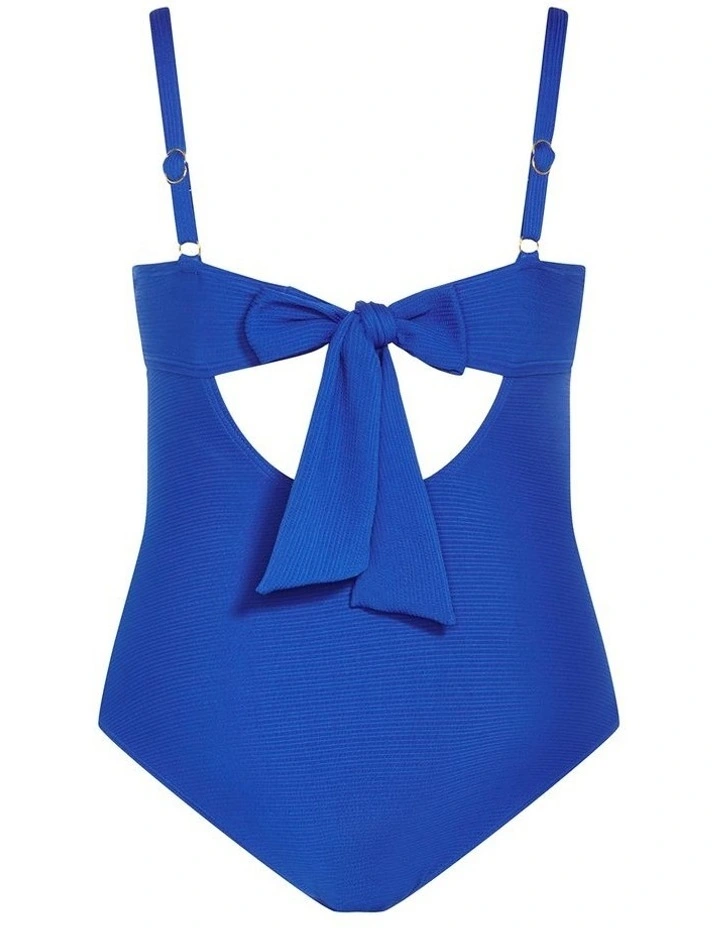 Alicante Underwire One Piece in Blue image 4
