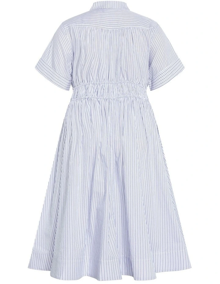 Lana Stripe Shirt Dress in Blue image 4