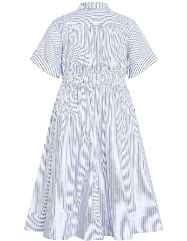 Lana Stripe Shirt Dress in Blue image 6