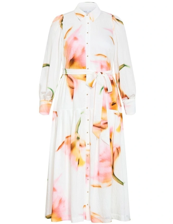 Haze Bloom Print Maxi Dress in Ivory image 3