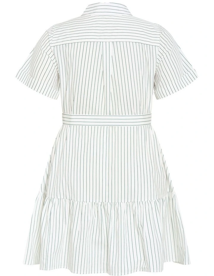 Plus Size Claire Stripe Shirt Dress in Multi image 4