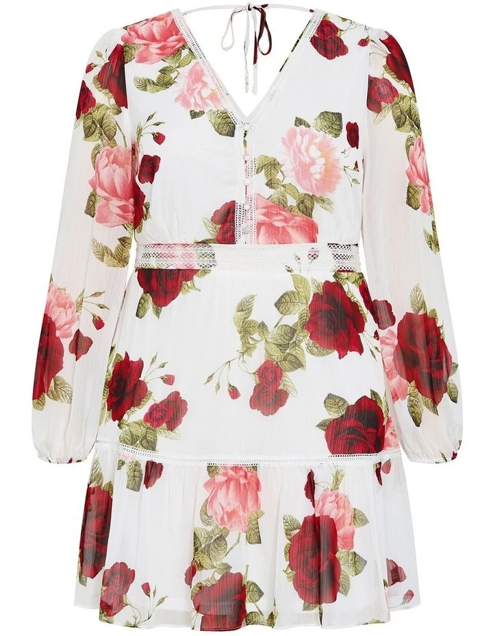 Plus Size Kiki Dolce Print Mini Dress in Ivory image 3