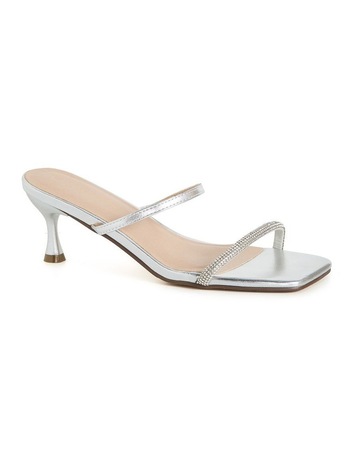 Silver colour