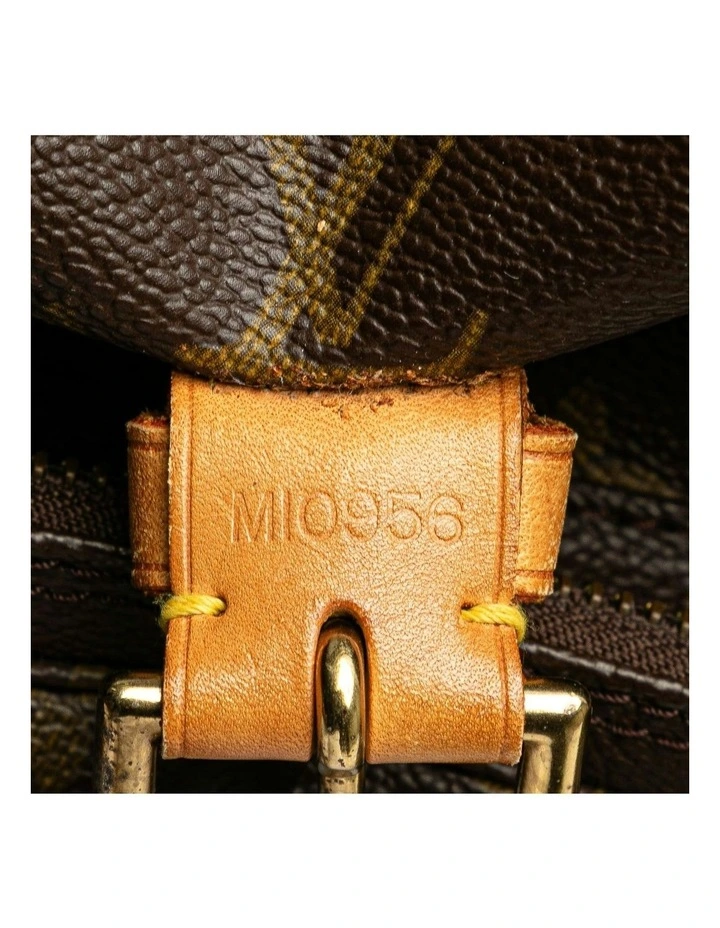 Louis Vuitton Printed Backpack in Brown image 6