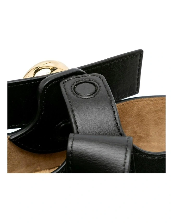 Loewe Raffia Bucket Bag in Brown image 6