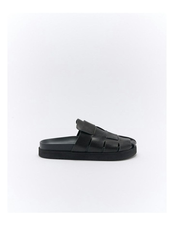 Black colour