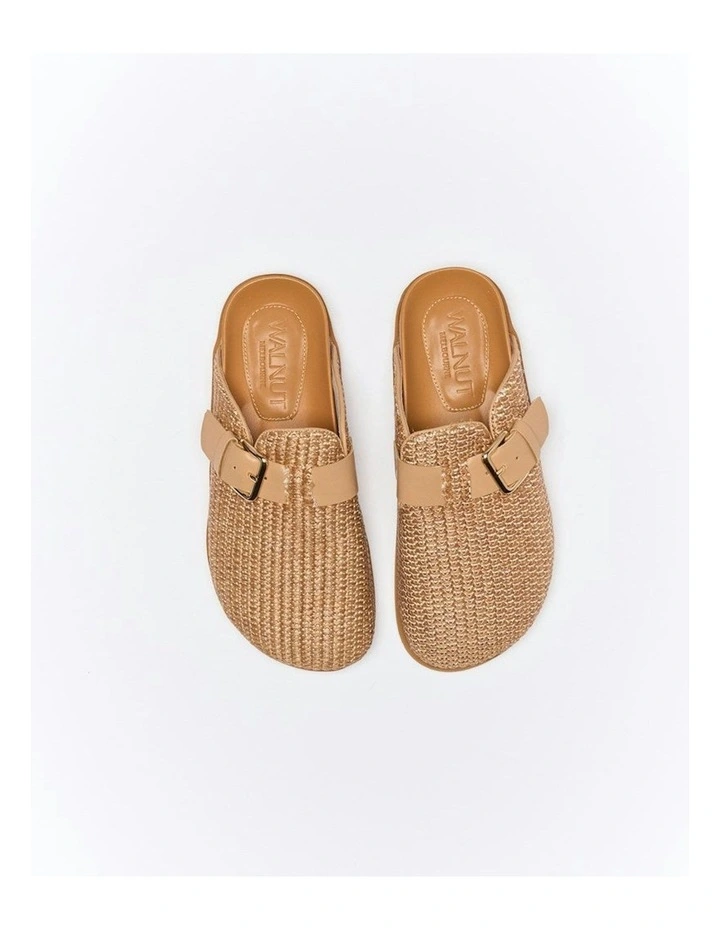 Blake Mule in Natural image 4