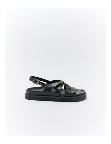 Black colour