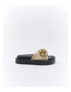 Indie Slide in Oyster