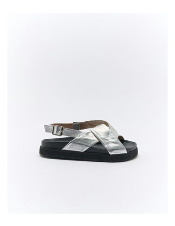 Silver colour