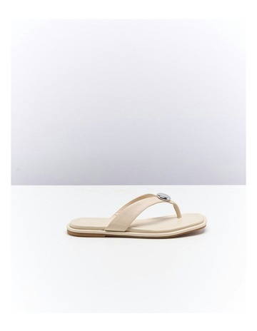 Beige colour