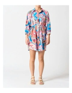 Palermo Dress in Multi