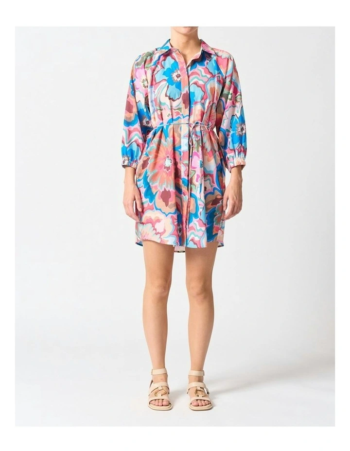 Palermo Dress in Multi image 1
