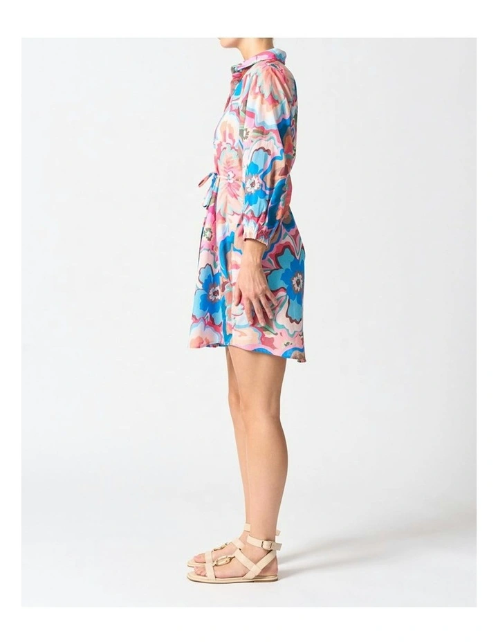 Palermo Dress in Multi image 3