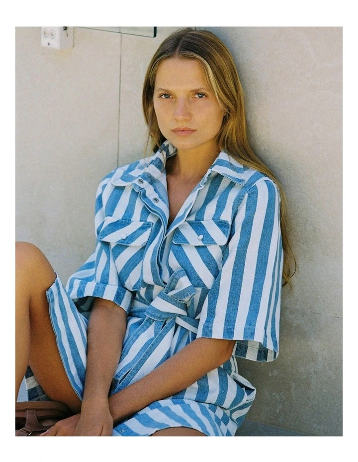 Mayfair Dress in Denim Stripe image 4
