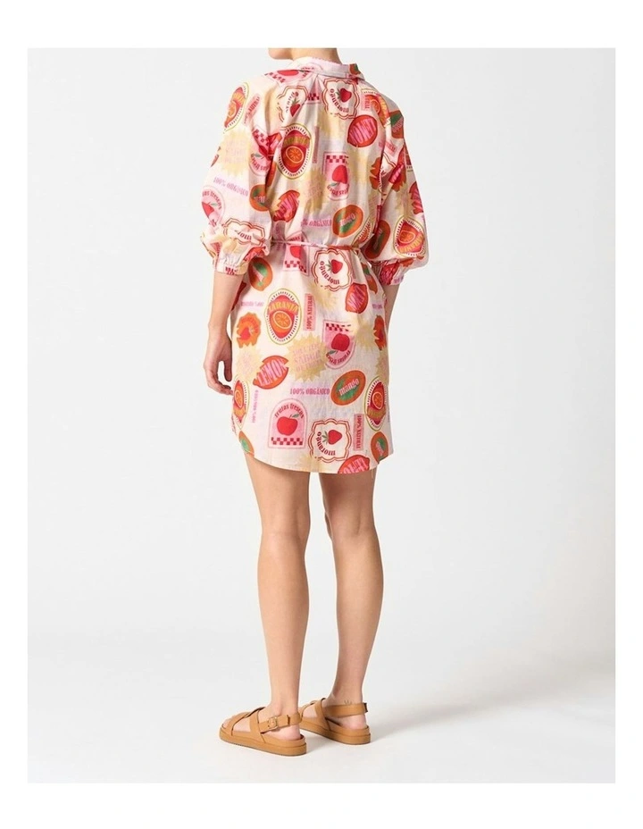 Palermo Dress in Frutas Fescas image 2