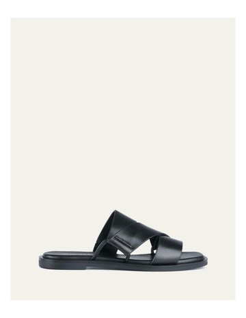 Black colour