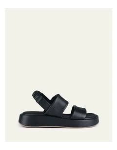 Dana Flat Leather Sandals in Black