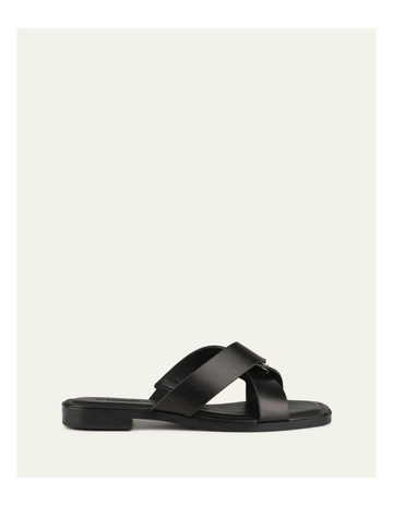 Black colour