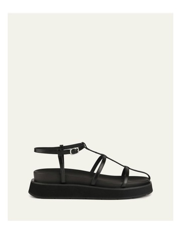 Black colour