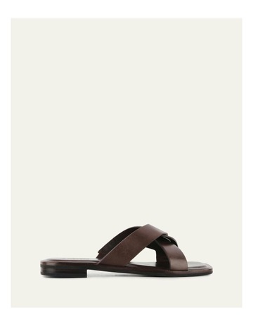 Chocolate colour