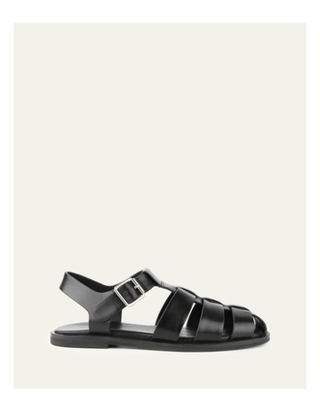 Black colour