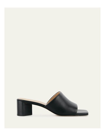 Black colour