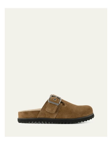 Lt Brown colour