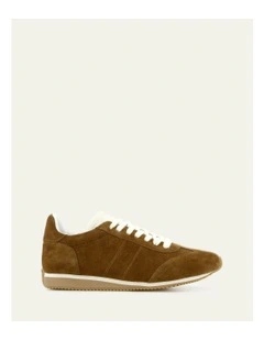 Monty Sneakers Biscuit Suede in Brown