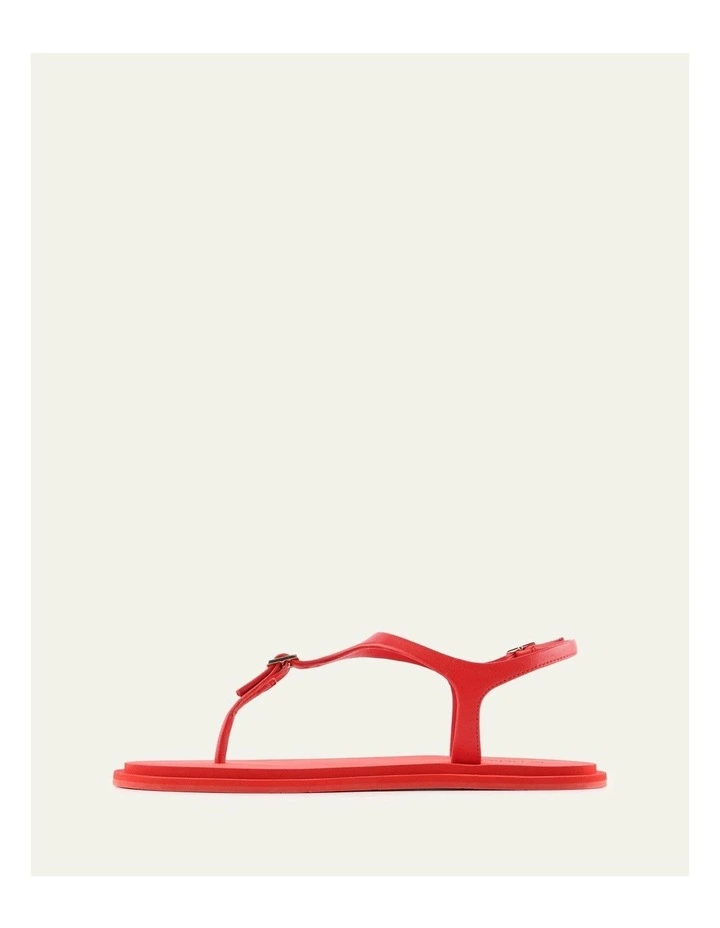 Miro Leather Flat Sandals in Red image 5