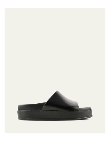Black colour