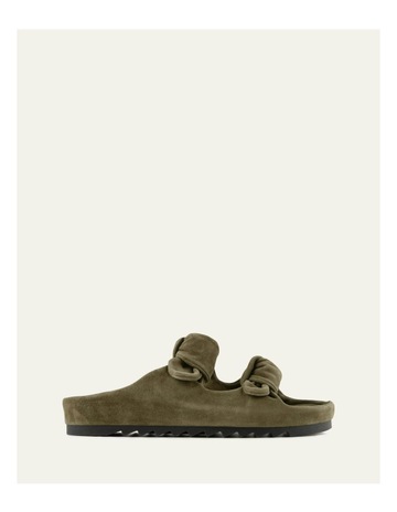 Olive colour