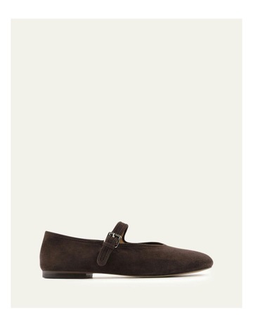 Chocolate colour