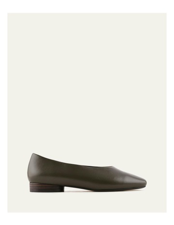 Olive colour