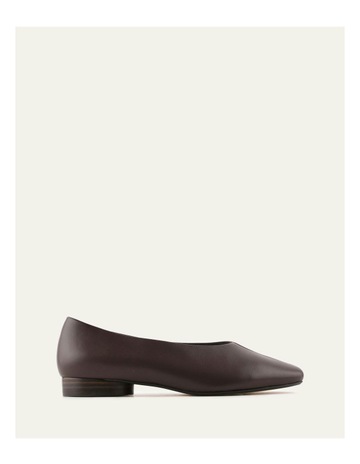 Chocolate colour