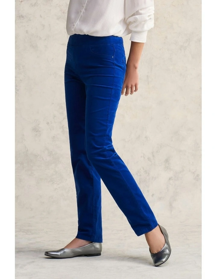 Bengajean Velvet Straight Leg Pant in Cobalt image 4