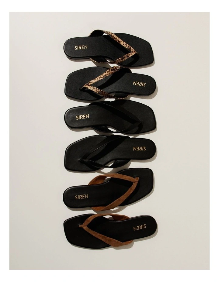 Evita Flat Thongs in Black image 4