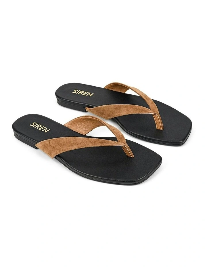 Evita Flat Thongs in Tobacco Brown image 3