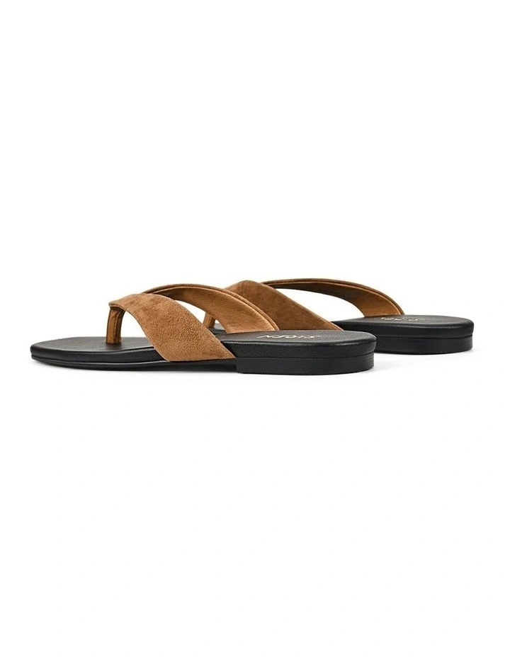Evita Flat Thongs in Tobacco Brown image 4
