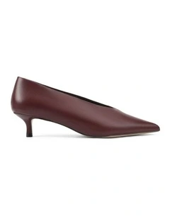 Flynn Point Toe Leather Pumps in Wine