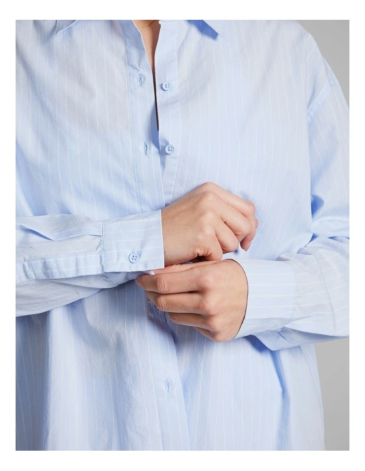 Cotton Stripe Shirt in Blue image 5